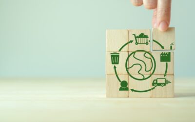 Ciclo de vida de un producto: Qué es y cuáles son sus etapas