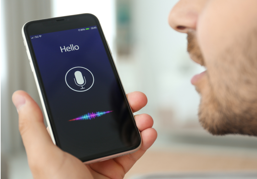 Optimización para búsquedas por voz (3)