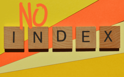 Páginas no indexables: qué son y cómo afectan al SEO de tu web